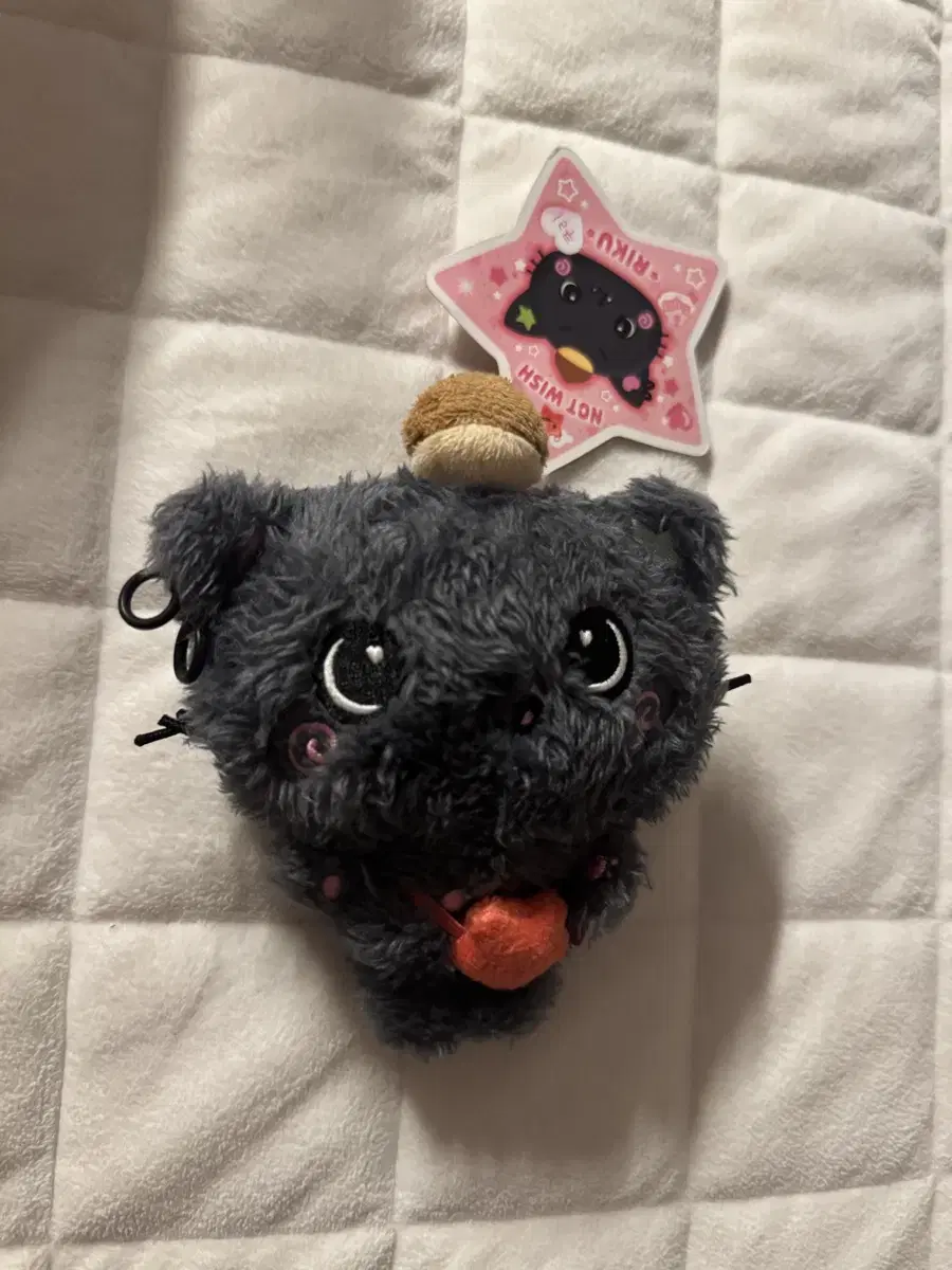 NCT | 엔시티 NCT 127 Jungwoo doll wts #쩡토리,#쩡카,#엔시티